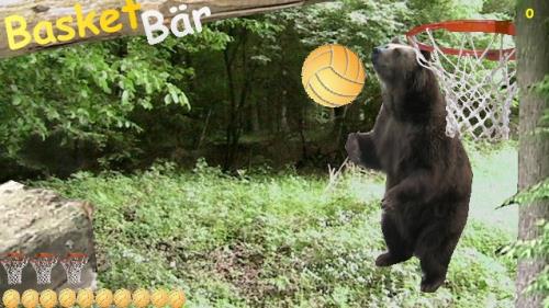 basket-baer