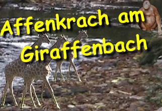 affenkrach